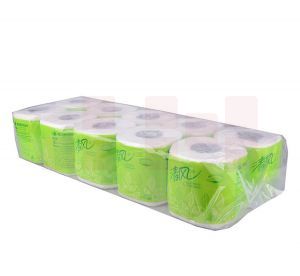 清风 卷筒纸 B202A 10卷*10提