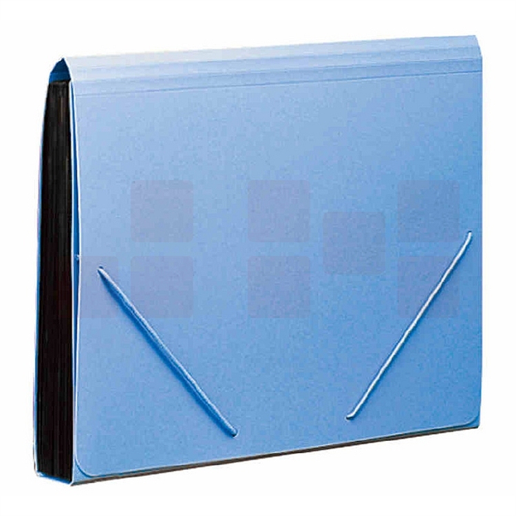 齐心F4302风琴包易分类 松紧带式风琴包,A4,12格(个)