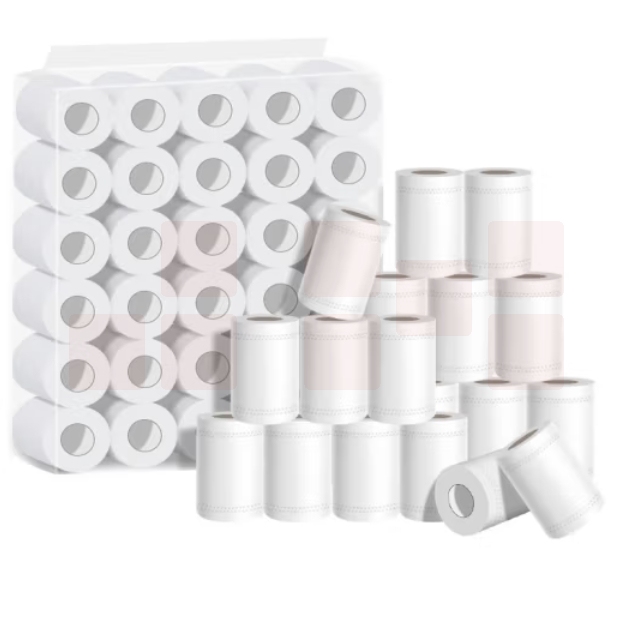 卫生纸卷纸 4层100克 有芯小卷纸厕纸10卷/提 简装 货号；yc