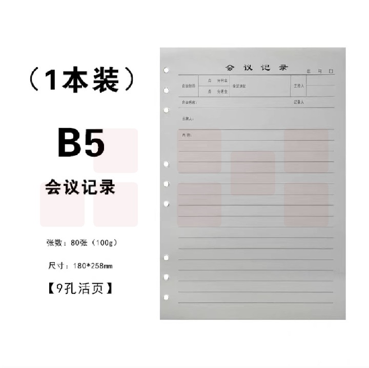 B5活页内芯 替芯 9孔会议记录本替芯  100张（200页）  货号：JC