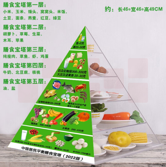 居民平衡膳食模型 营养指导食物交换份教学模型   2022版