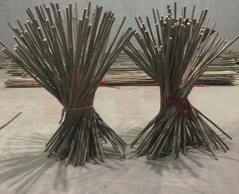 竹子菜园搭架、篱笆栅栏、彩旗装潢跳舞竹杆 直径1厘米 2米长