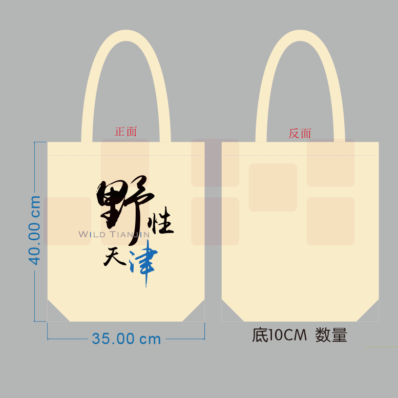帆布袋，白色，含拉链 （100个起订）