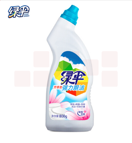 绿伞 芳香型强力洁厕灵800g 洁厕液20瓶（一箱）