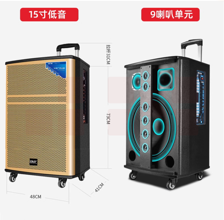 先科   户外音响 拉杆音箱  WD-15   货号：YC