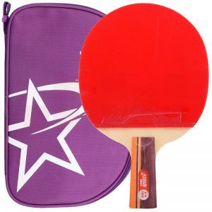 红双喜直拍双面反胶乒乓球拍 R2006