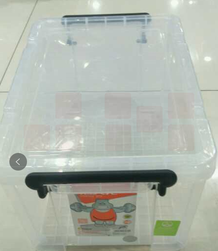 禧天龙整理箱塑料透明有盖小号储蓄储物收纳箱子（长42*宽29*高25）