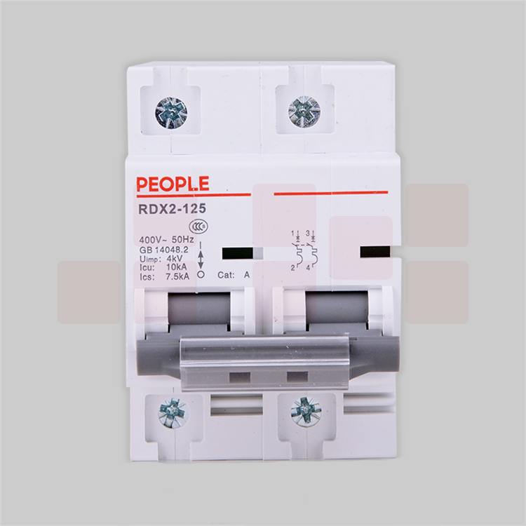 人民电器 断路器 2P RDX2 2P/125A大功率断路器