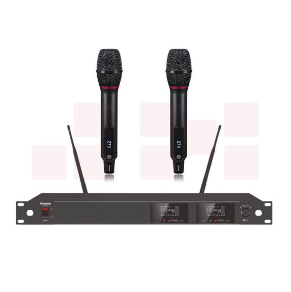 湖山  无线话筒DS-UA20 一拖二无线麦克风