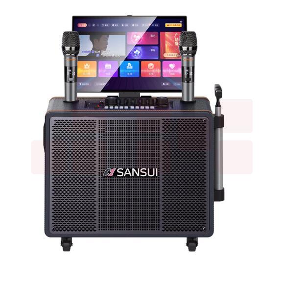 山水（SANSUI） PE105便携户外广场舞拉杆音响  17吋屏+PE105三分频+500G  货号：LJ