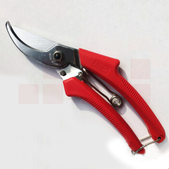 修枝剪 小手剪 树枝剪果树剪子剪刀园林工具粗枝剪