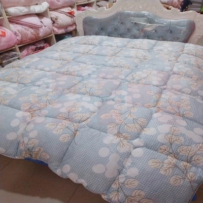 绮虹  羽丝绒  被子  160*210  冬季 羽丝绵被（颜色随机发送）