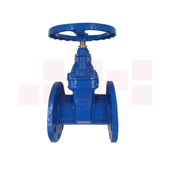 闸阀 DN100 货号：JC