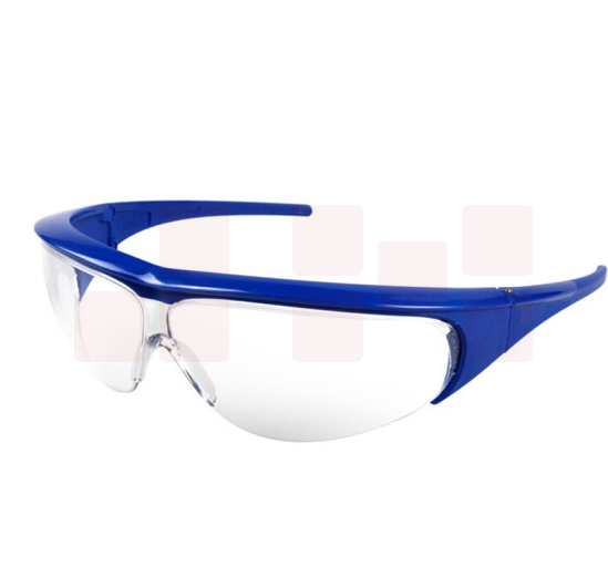 霍尼韦尔防雾护目镜	蓝色镜框 透明镜片	1002783