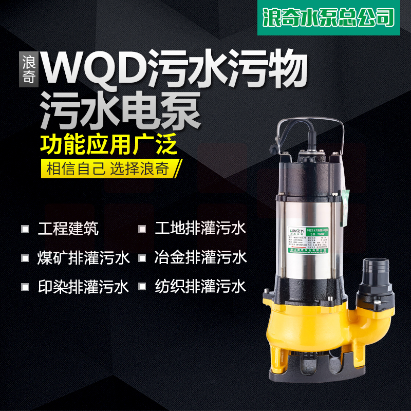 浪奇WQD自动型不锈钢潜水泵220V家用/农用/防汛排污泵污水泵