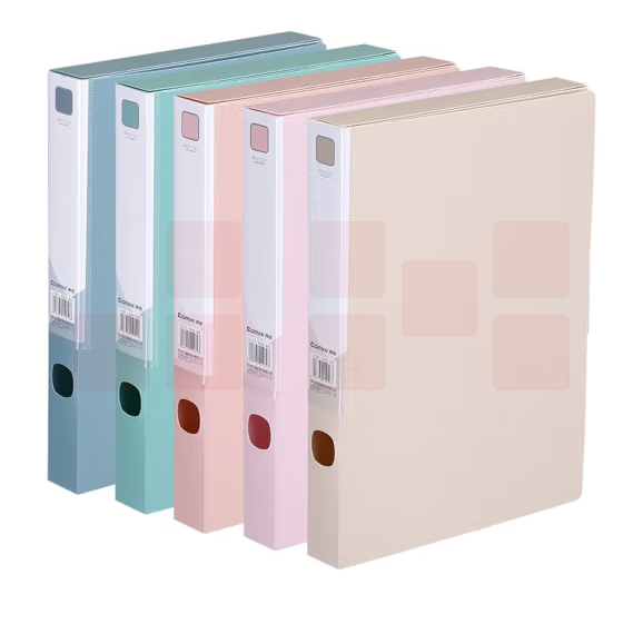 齐心   莫兰迪色A4   档案盒 党建资料盒  A1303   35mm  颜色备注