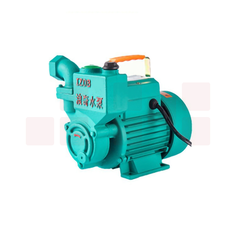 浪奇 IZDB-65-750W 自吸泵