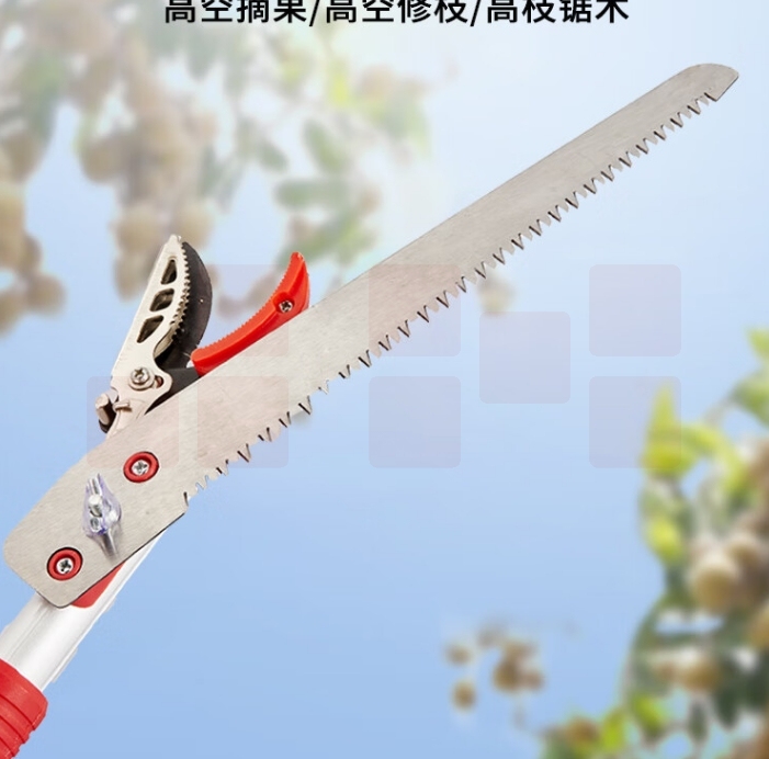 高空剪枝剪果树剪修剪树枝剪刀