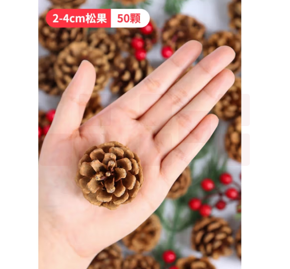 自然环创材料松果  2-4厘米（50个）  货号：LJ