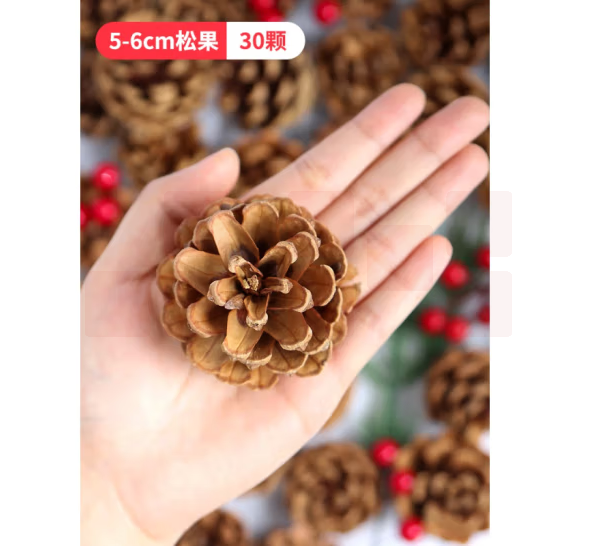 自然环创材料松果 5-6厘米（30个）  货号：LJ