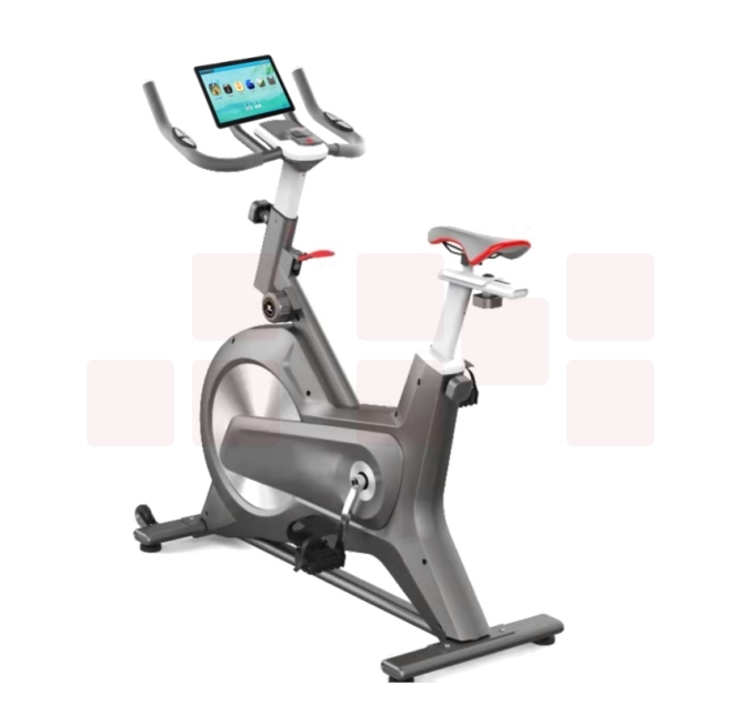 智能运动宣泄单车 10英寸显示屏  含心理软件