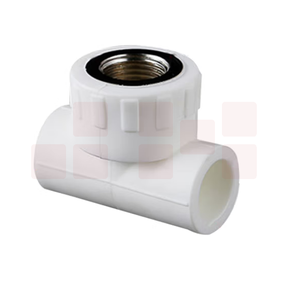 日丰  PPR三通内直  25*6分