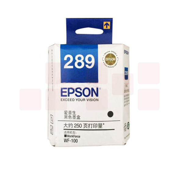 爱普生 T289  黑色墨水 适用WF-100/WF-110机型